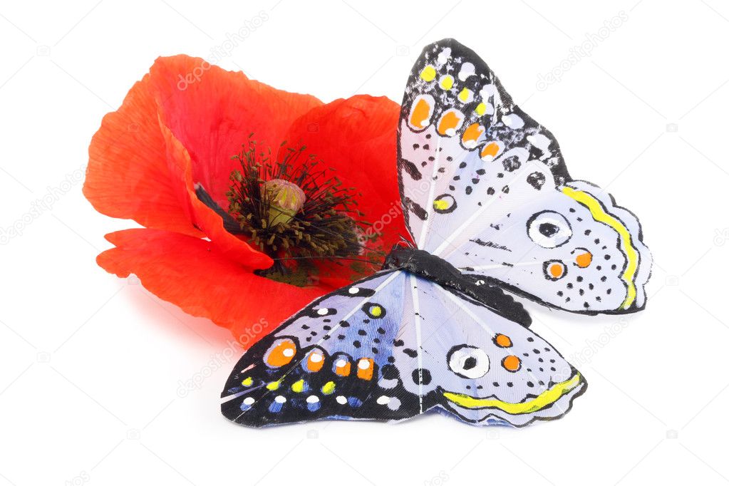 Poppy and the butterfly