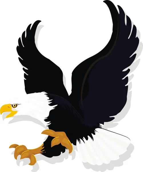 Американський орел Стоковий вектор