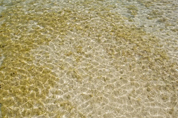 Fodrozódó víz egy homokos lagúna — Stock Fotó