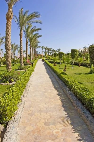 Tropical garden path — Stock Photo, Image