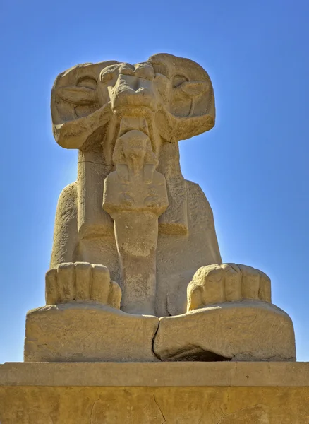 Sfingi di ariete al Tempio di Karnak — Foto Stock