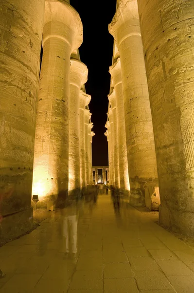 Luxor Tapınağı'nda gece sütunlar — Stok fotoğraf
