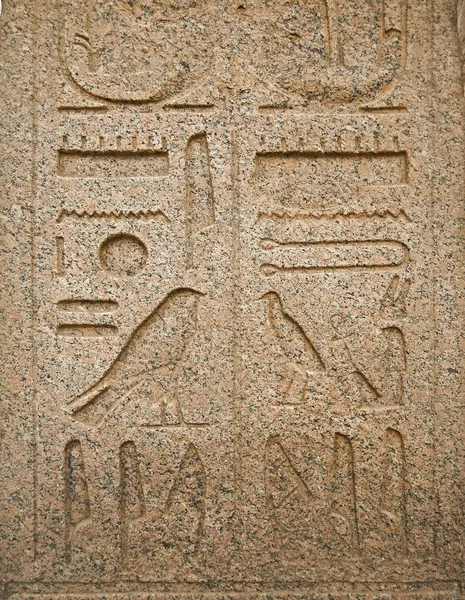 Ιερογλυφικά σε έναν τοίχο στο ναό του Λούξορ — Φωτογραφία Αρχείου
