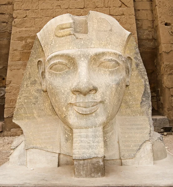 Rammt Ii-Kopf am Luxor-Tempel — Stockfoto