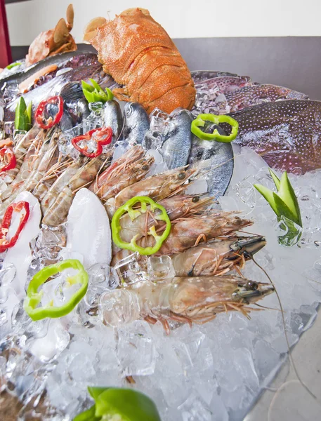 Fresh seafood display on ice — Stock Photo, Image