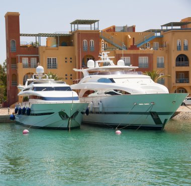 Luxury motor yachts in a marina