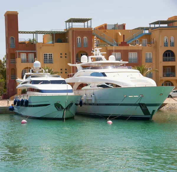Luxury motor yachts in a marina — Stock Photo, Image