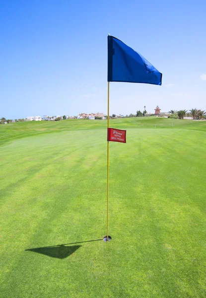 Vlajka na golfovém hřišti green — Stock fotografie