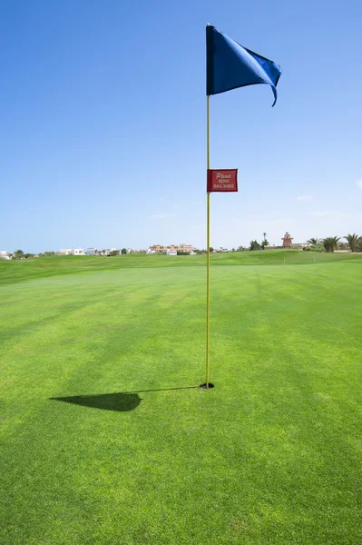 Флаг на зеленом поле для гольфа — стоковое фото