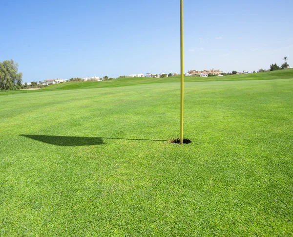 Närbild av en grön golfbana — Stockfoto