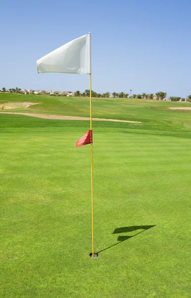 Флаг на зеленом поле для гольфа — стоковое фото