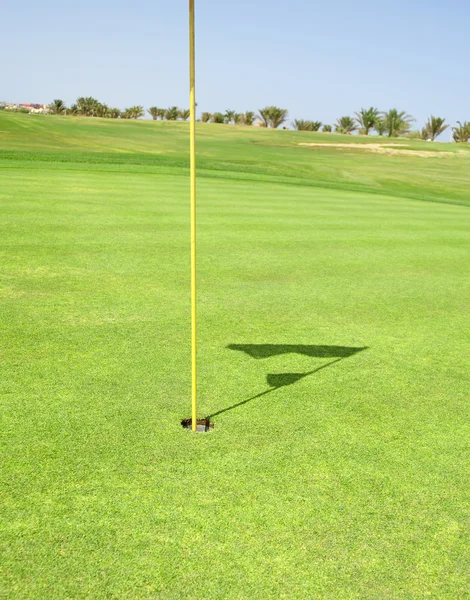 Nahaufnahme eines grünen Golfplatzes — Stockfoto