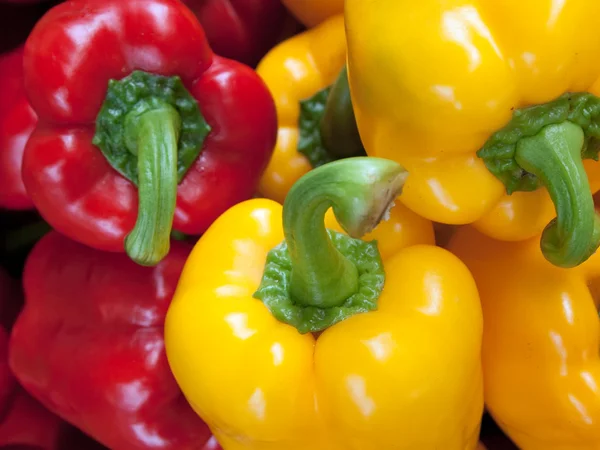 Rode gele groene paprika — Stockfoto