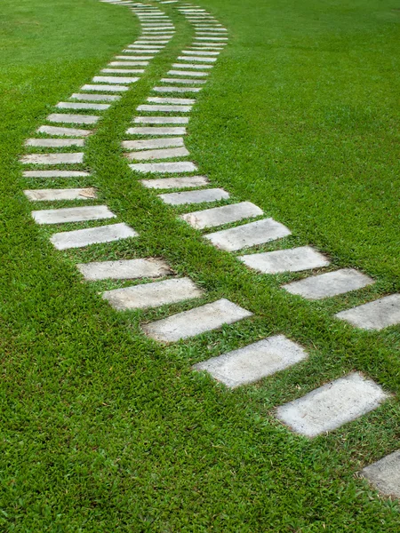 Křivka cesta na trávě — Stock fotografie