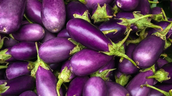 Eggplant purple — Stock Photo, Image