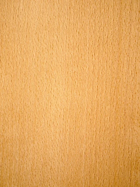 Natureza faia Textura de madeira — Fotografia de Stock