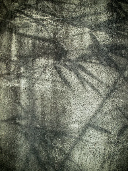 壁に影を竹 — ストック写真