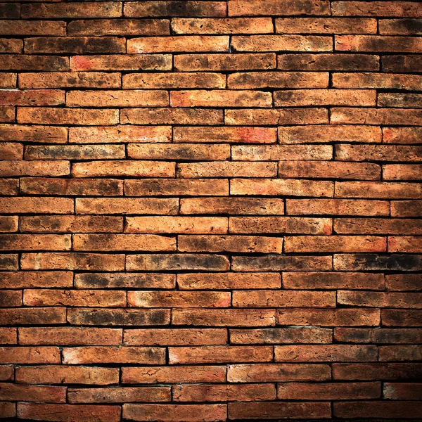 Brick Wall and Green Grass — Stock Photo, Image