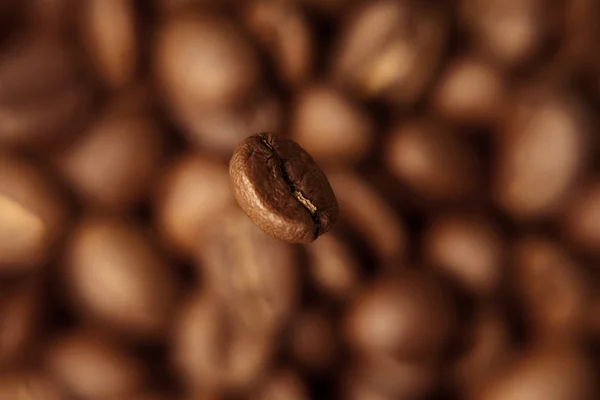 stock image Coffee kernel