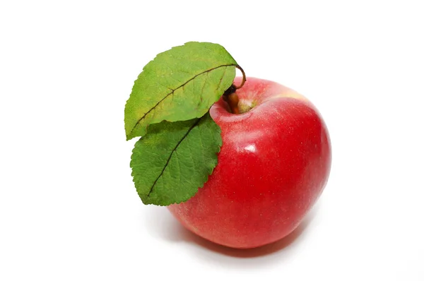 Red apple with two green leaves on white — Stock Photo, Image