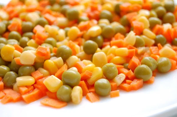 Miscela di verdure colorate su piatto bianco — Foto Stock