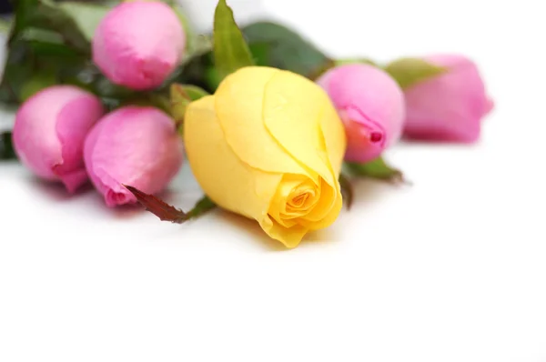 黄色和粉红色玫瑰花束 — 图库照片