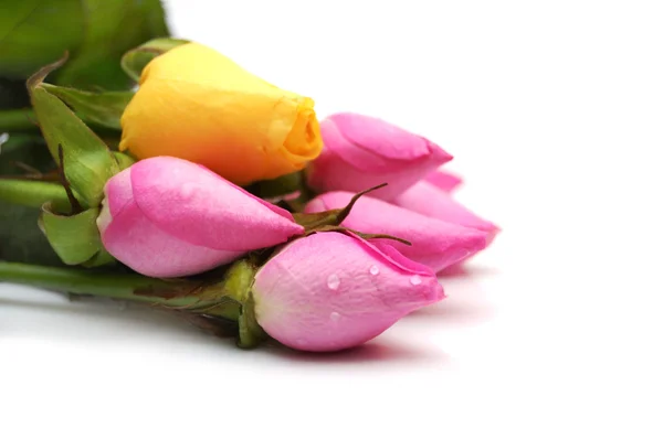 Buquê de rosas rosa e amarela sobre fundo branco — Fotografia de Stock