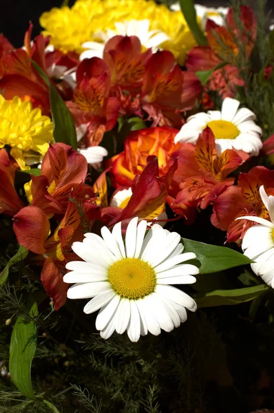Buquê de flores da primavera com camomila no centro — Fotografia de Stock