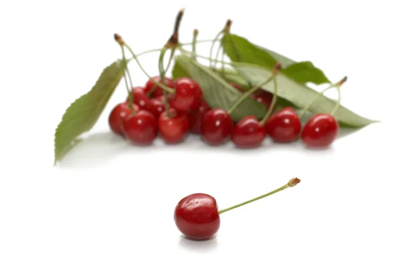 Red riped cherry on white background — Stock Photo, Image