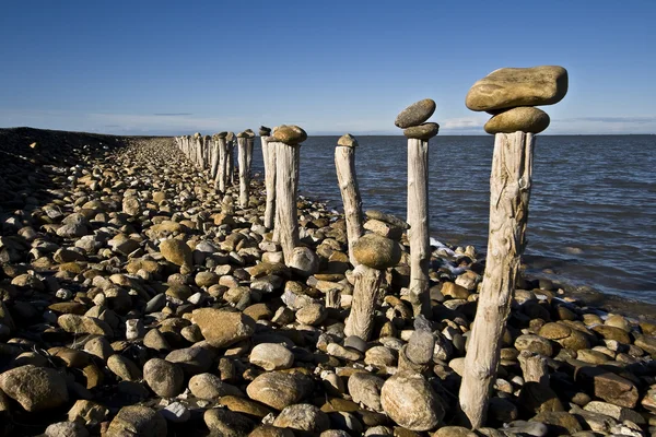 stock image Pebbles on wood