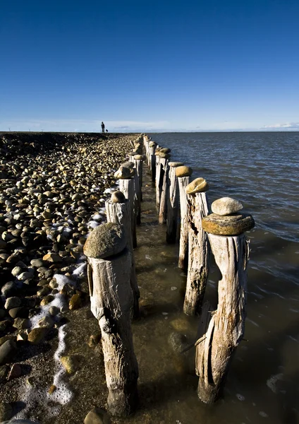 stock image Pieces of wood and pebbles