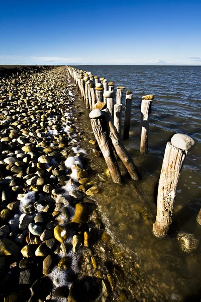 Stock image Wood and pebbles