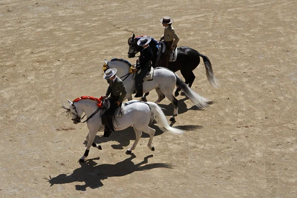 Három versenyző előtt bikaviadal — Stock Fotó