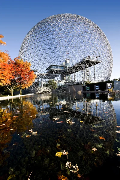 Biosfera e aceri — Foto Stock