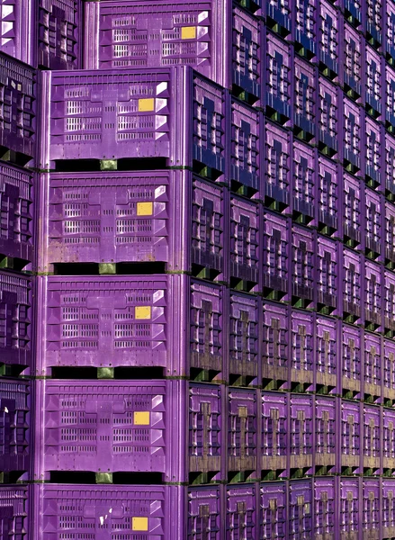 stock image Purple crates