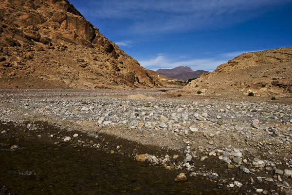 stock image Dry river