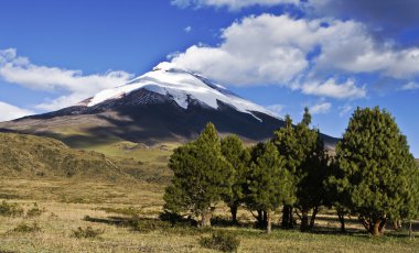 Cotopaxi clipart