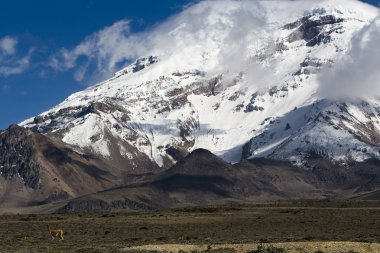 Chimborazo