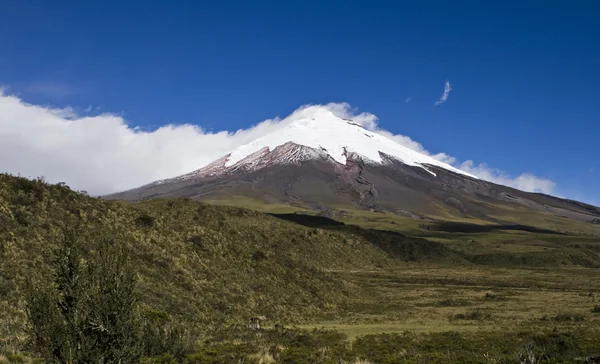 stock image Cotopaxi