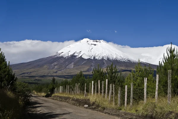 Cotopaxi — 스톡 사진