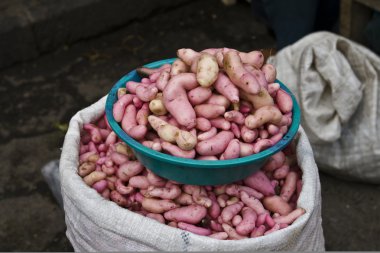 Sac de dolma