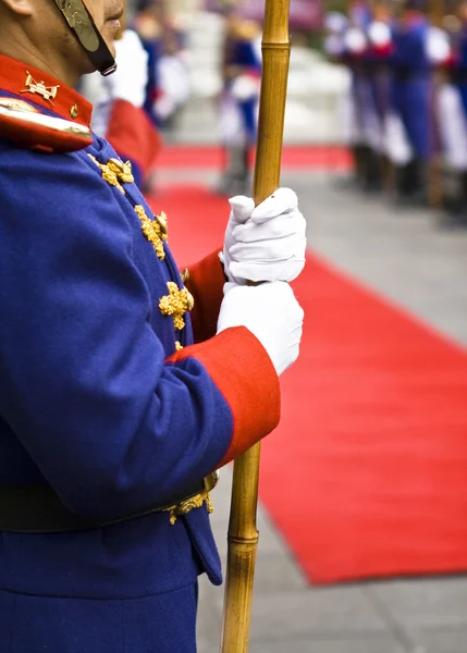 Garde présidentielle — Stock Photo, Image
