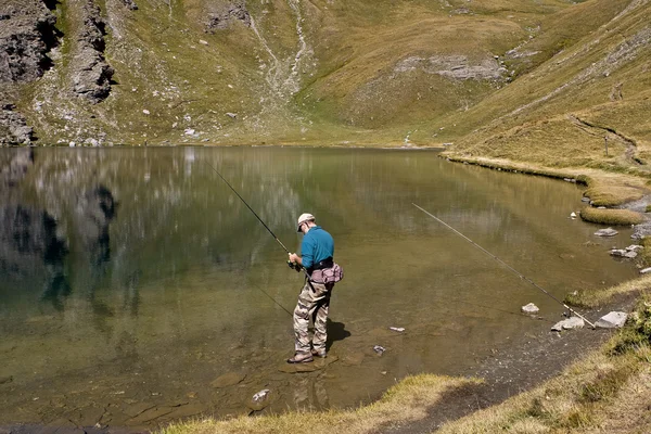 stock image Lac