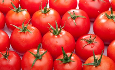 Bright red tomatoes clipart