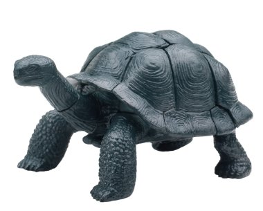 Realistic toy turtle isolated clipart