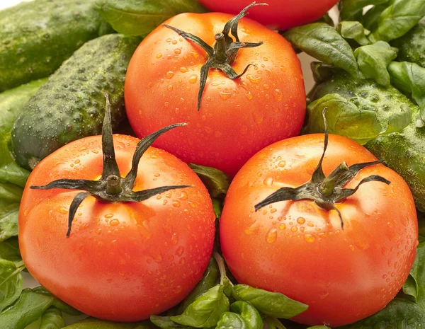 Tomatoes close up — Stock Photo, Image