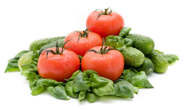Levendige natte rijpe tomaten — Stockfoto