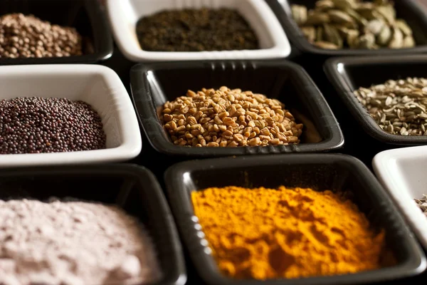 stock image Set of spices