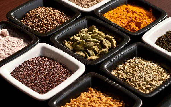 Stock image Set of spices