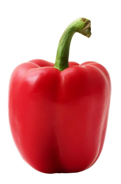 stock image Paprika isolated